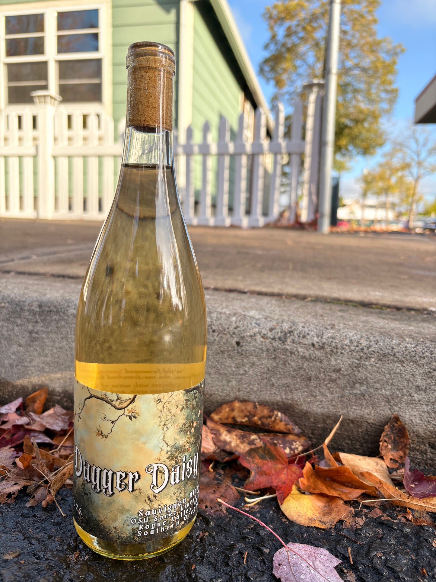 2025 Sauvignon Blanc